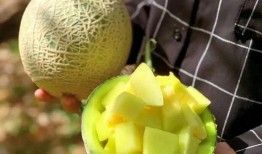 娱乐圈吃瓜内容是什么,明星秘闻大揭秘！