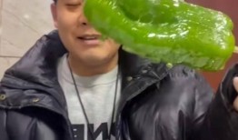 网红吃瓜al情侣